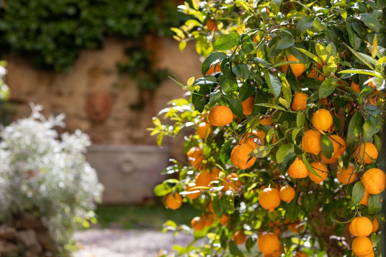 Secret Garden Bed & Breakfast Firenze